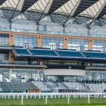 Shutterstock 1308925675