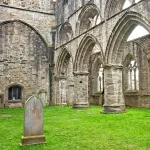 shutterstock 126481877