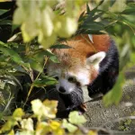 shutterstock 101883211