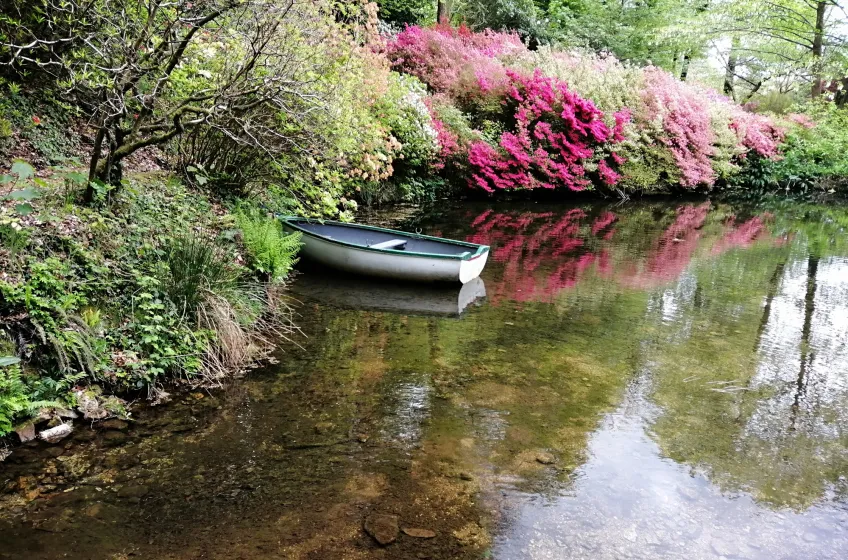 Lukesland Gardens, Ivybridge