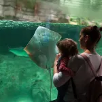 Shutterstock 1117508126