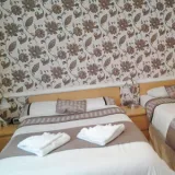 52783205