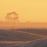 SuttonHooBurialSite