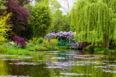Shutterstock 453177838