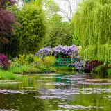 Shutterstock 453177838