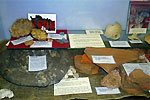 20011766.jpg