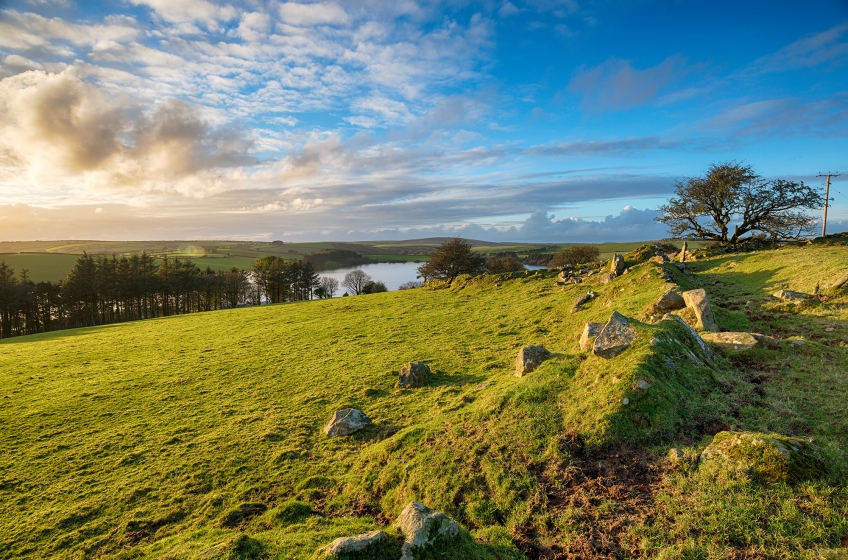 Bodmin Moor