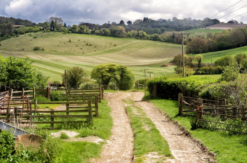 The Chiltern Hills