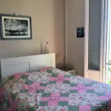 263363844