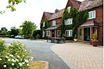 honiley.jpg