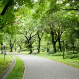 Shutterstock 145483594