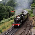 Shutterstock 1286153020