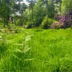 shutterstock 1107854684