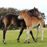 shutterstock 1062451394