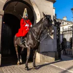 Shutterstock 2596525521