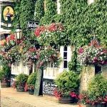 the black swan leyburn