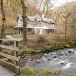 shutterstock 1637677387