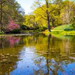 shutterstock 1375882394