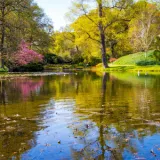 shutterstock 1375882394