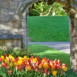 YorkMuseumGardens