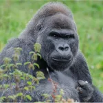 shutterstock 172698338