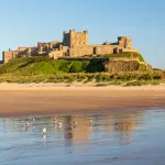 Shutterstock 1397383505