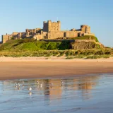 Shutterstock 1397383505