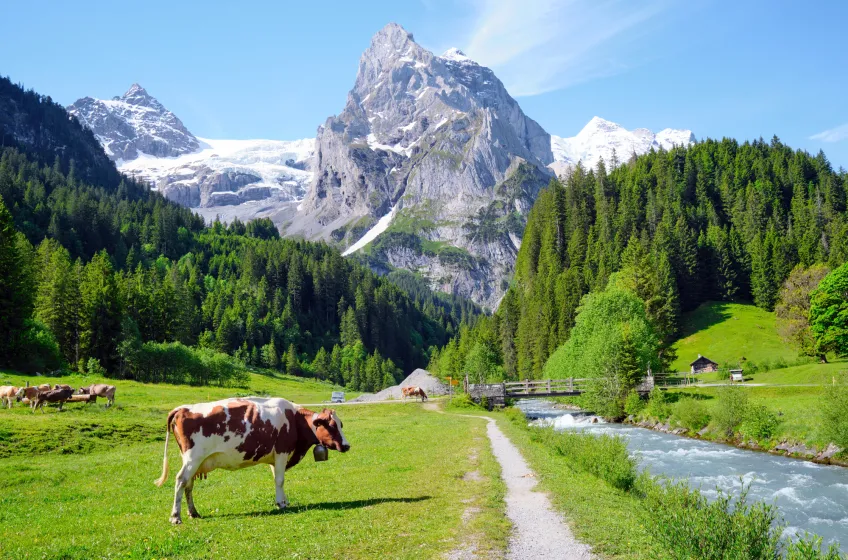 Swiss Landscape
