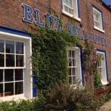 bluebell