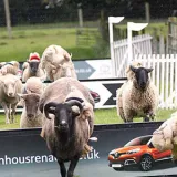 HooFarm