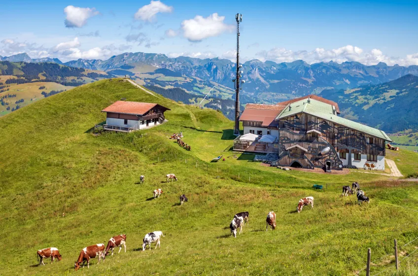 View From Rinderberg Top Gondola Station
