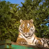 Shutterstock 1123962845