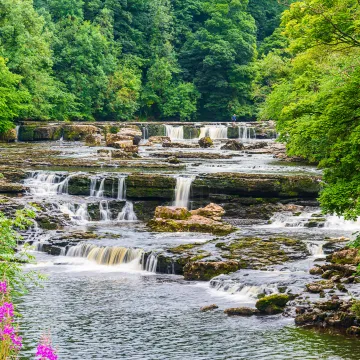 Aysgarth