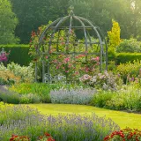 Mary rose garden MarkLord 727x375