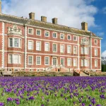 hamhouseandgardencrocusesplatsproject2019