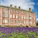 hamhouseandgardencrocusesplatsproject2019