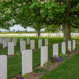 shutterstock 1132639103