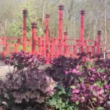 BealePark
