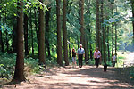 20012085.jpg