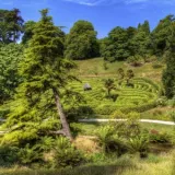 shutterstock 198465359