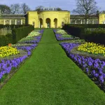 nostellspringflowers