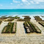 Shutterstock 2129465552