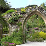 tresco-abbey-gardens.jpg
