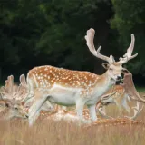shutterstock 1456157549