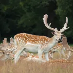 shutterstock 1456157549