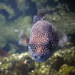 Shutterstock 555845077