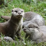 Shutterstock 2503340697