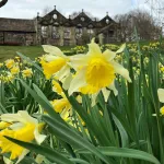 210321springheaderimageeg