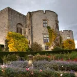 shutterstock 64737178