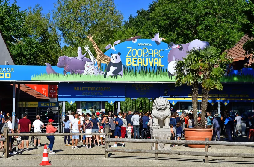 Beauval Zoo